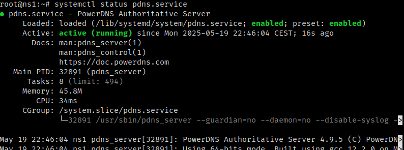 A screenshot of pdns' service status, showing it up, running and enabled.